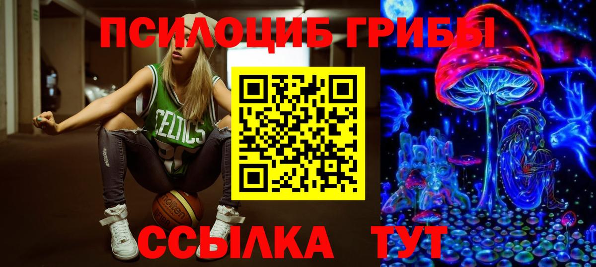 Псилоцибиновые грибы GOLDEN TEACHER  Вход с VPN  Новоалтайск 